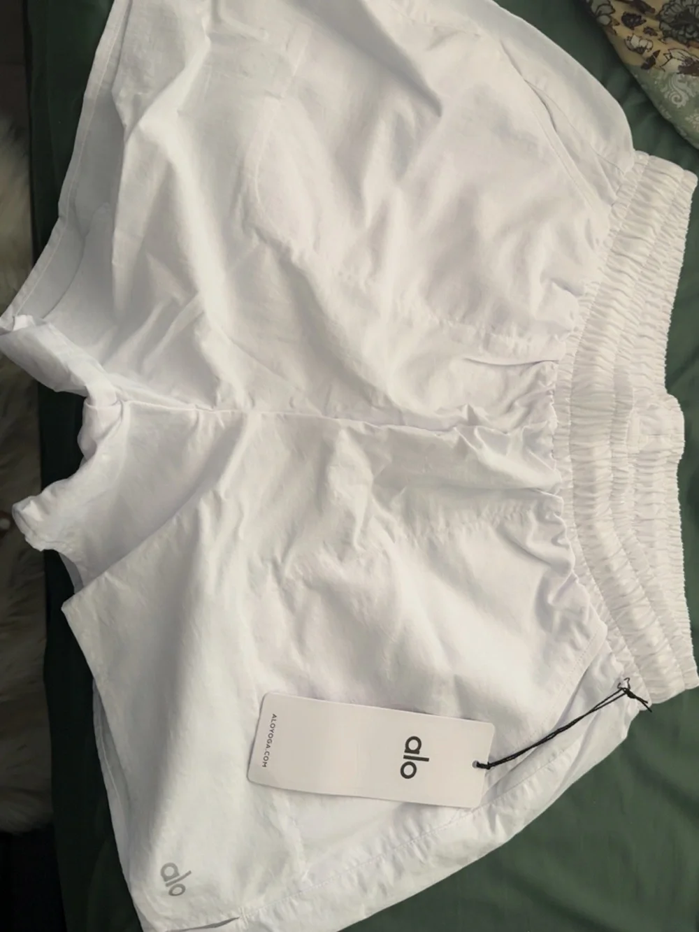 NWT Alo Yoga Alumni Short White Size Medium - Picture 2 of 2